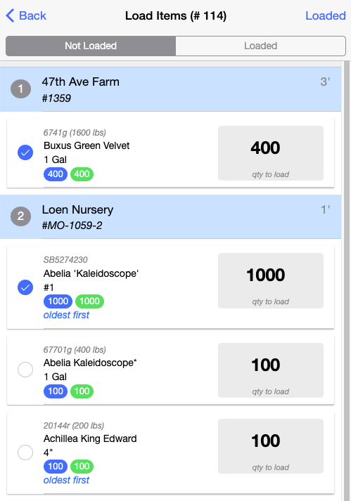Screenshot of the Load Items detail screen
